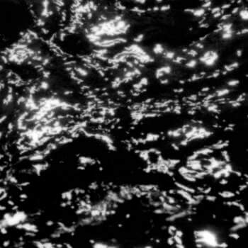 Grouper – A I A : Dream Loss (Vinyl)