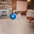 Julia Jacklin - Don’t Let The Kids Win (Vinyl)