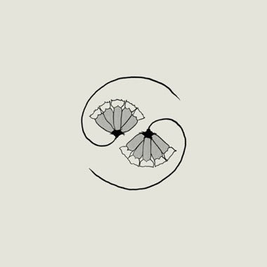 GODSPEED YOU! BLACK EMPEROR 'G_D'S PEE AT STATE'S END!' LP + 10" EP
