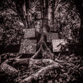 Washington, Kamasi - Harmony of Difference