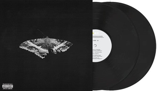KENDRICK LAMAR 'TO PIMP A BUTTERFLY' 2LP (10th Anniversary Edition, Alternate Artwork)
