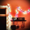 Kristin Hersh - Clear Pond Road (Vinyl)