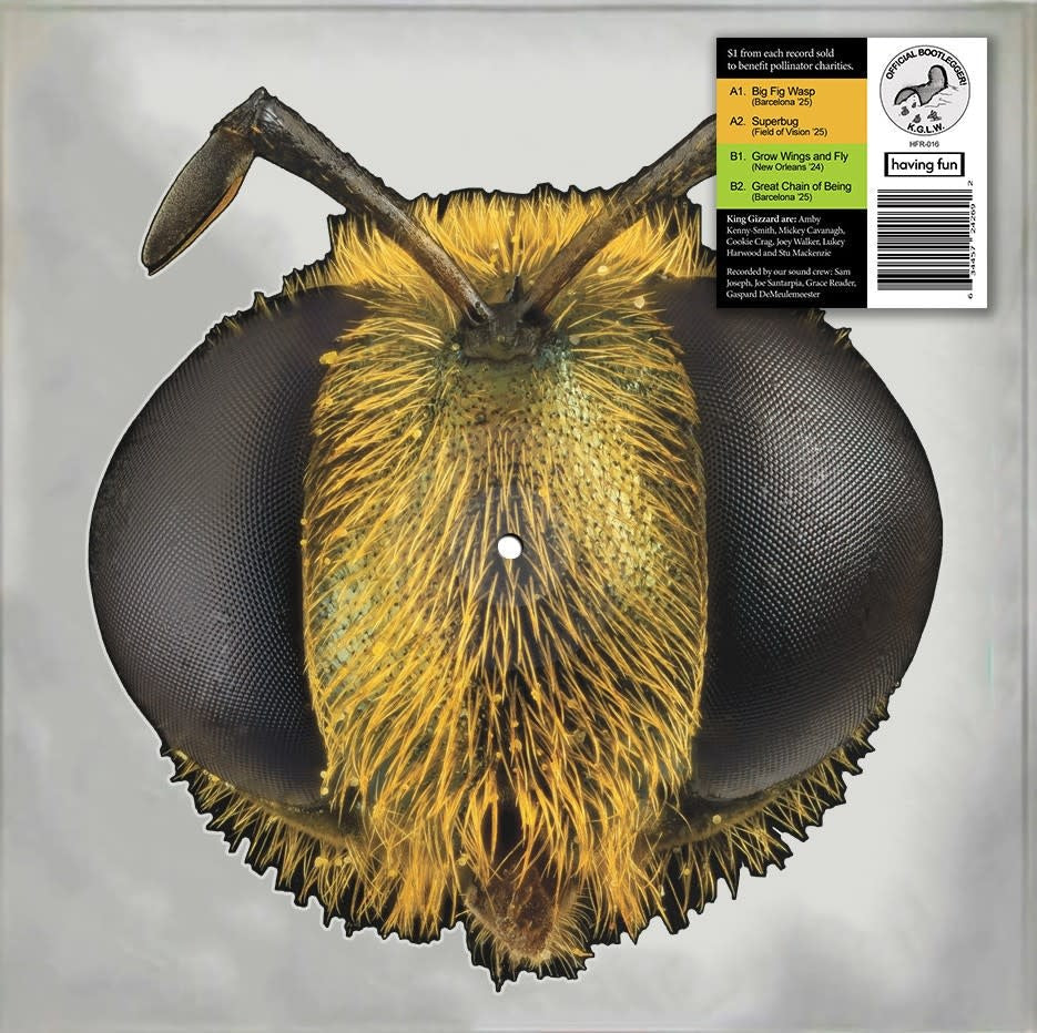 King Gizzard & The Lizard Wizard - Big Fig Wasp LP (RSD 2026)