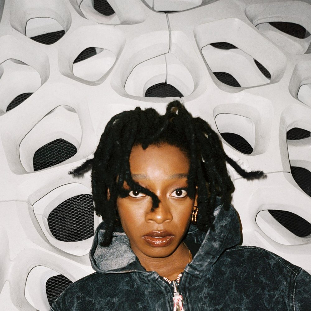 Little Simz - No Thank You (Vinyl)