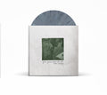 MODERN BASEBALL 'YOU'RE GONNA MISS IT ALL' LP + 7" (Deluxe/10th Anniversary Edition, Grey Marble Vinyl)