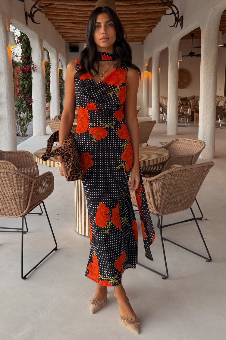Black Poppy Sophie Dress