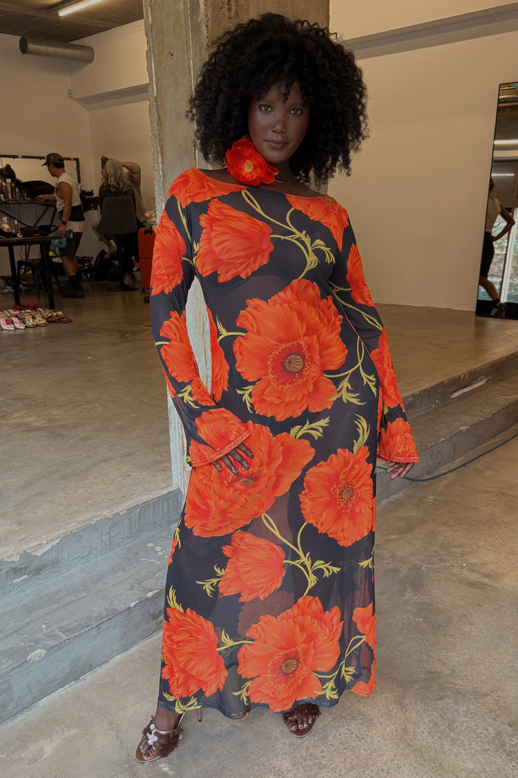 Black Poppy Aria Mesh Dress