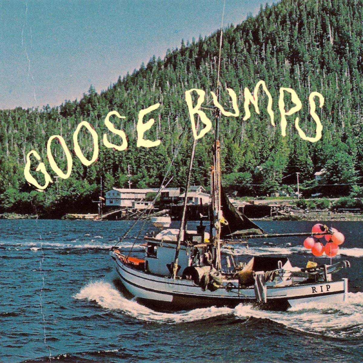 Boyscott - Goosebumps
