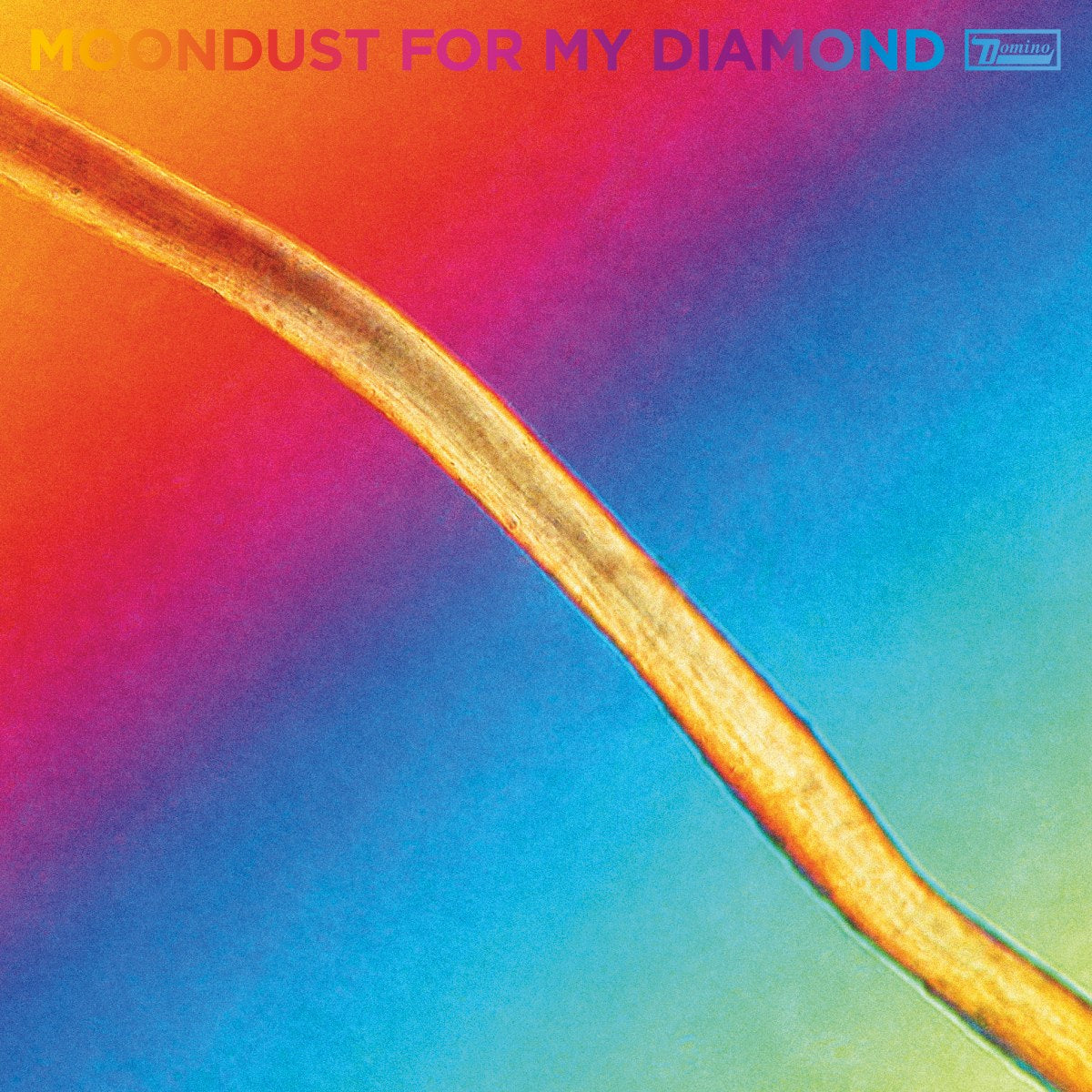 Thorpe, Hayden - Moondust For My Diamond