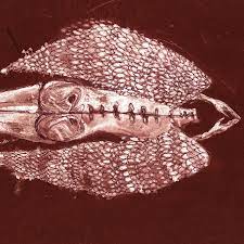 Cerberus Shoal - Homb (Rouge) (Anniversary)