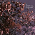 Eerie Wanda - Internal Radio (Lavender)