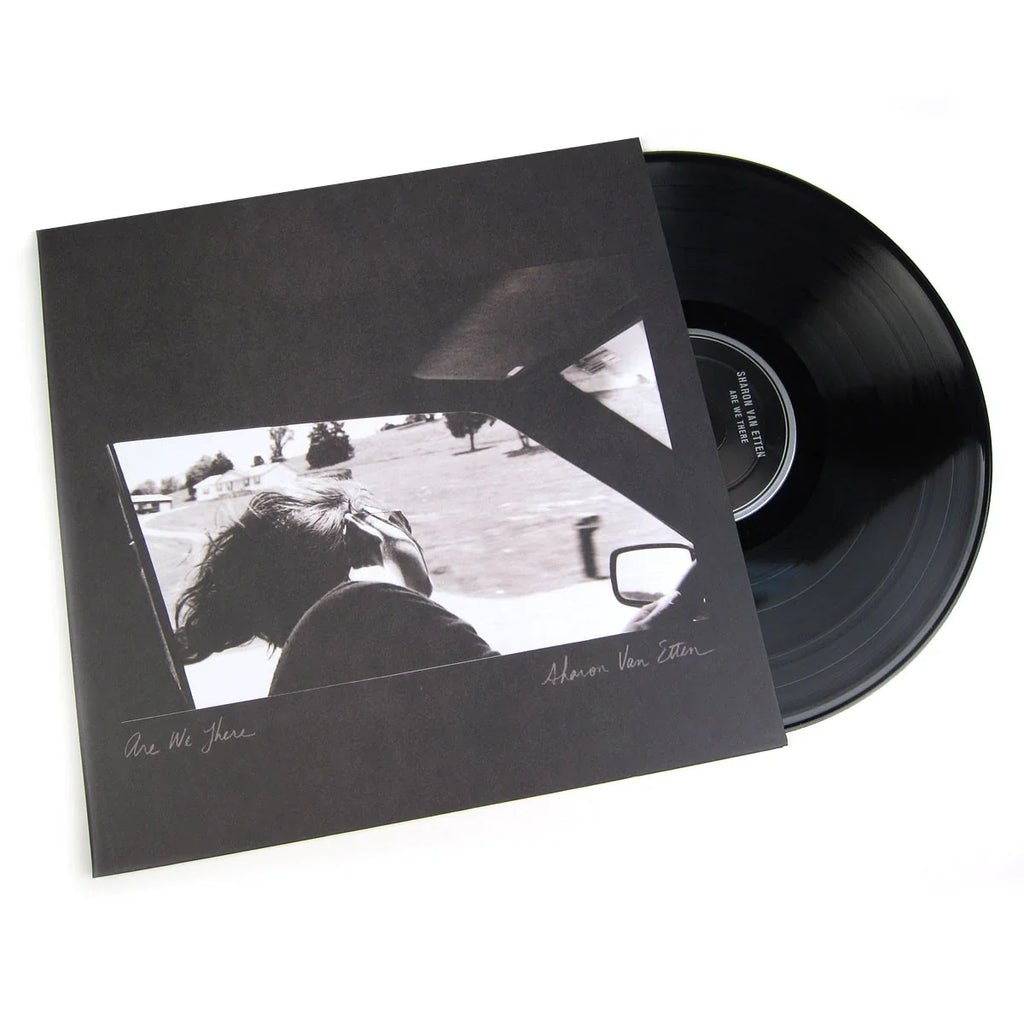 Sharon Van Etten - Are We There (Vinyl)