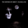 The Sisters of Mercy - Floodland (Vinyl)