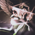 The Smashing Pumpkins – Shiny and Oh So Bright Vol. 1 (Vinyl)