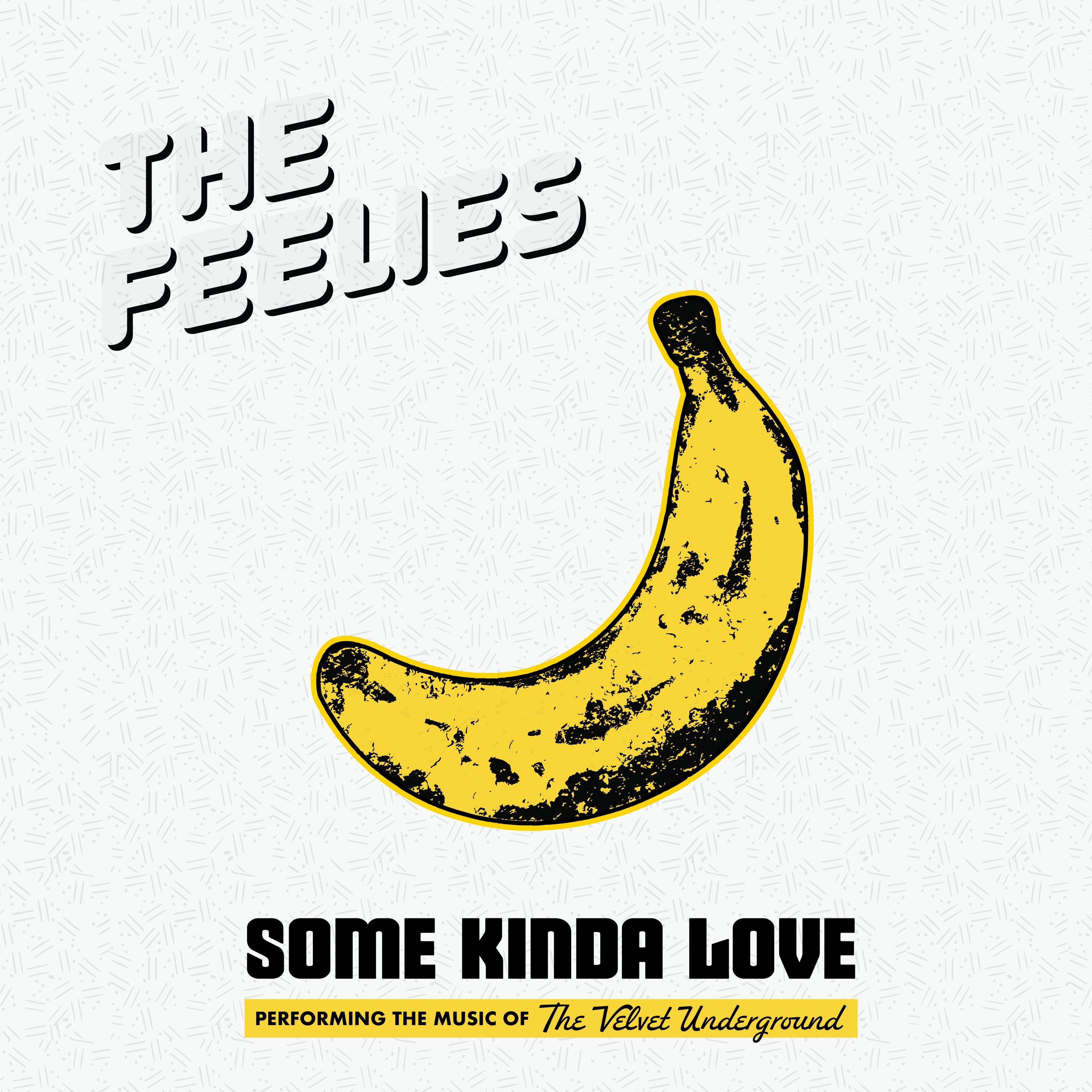THE FEELIES 'SOME KINDA LOVE: PERFORMING THE MUSIC OF THE VELVET UNDERGROUND' 2LP
