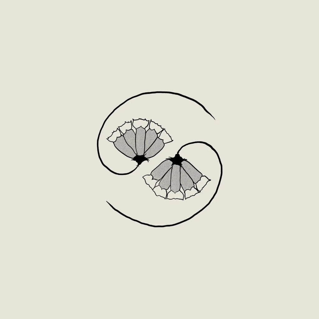 Godspeed You Black Emperor! - G_d's Pee AT STATE'S END (Vinyl)