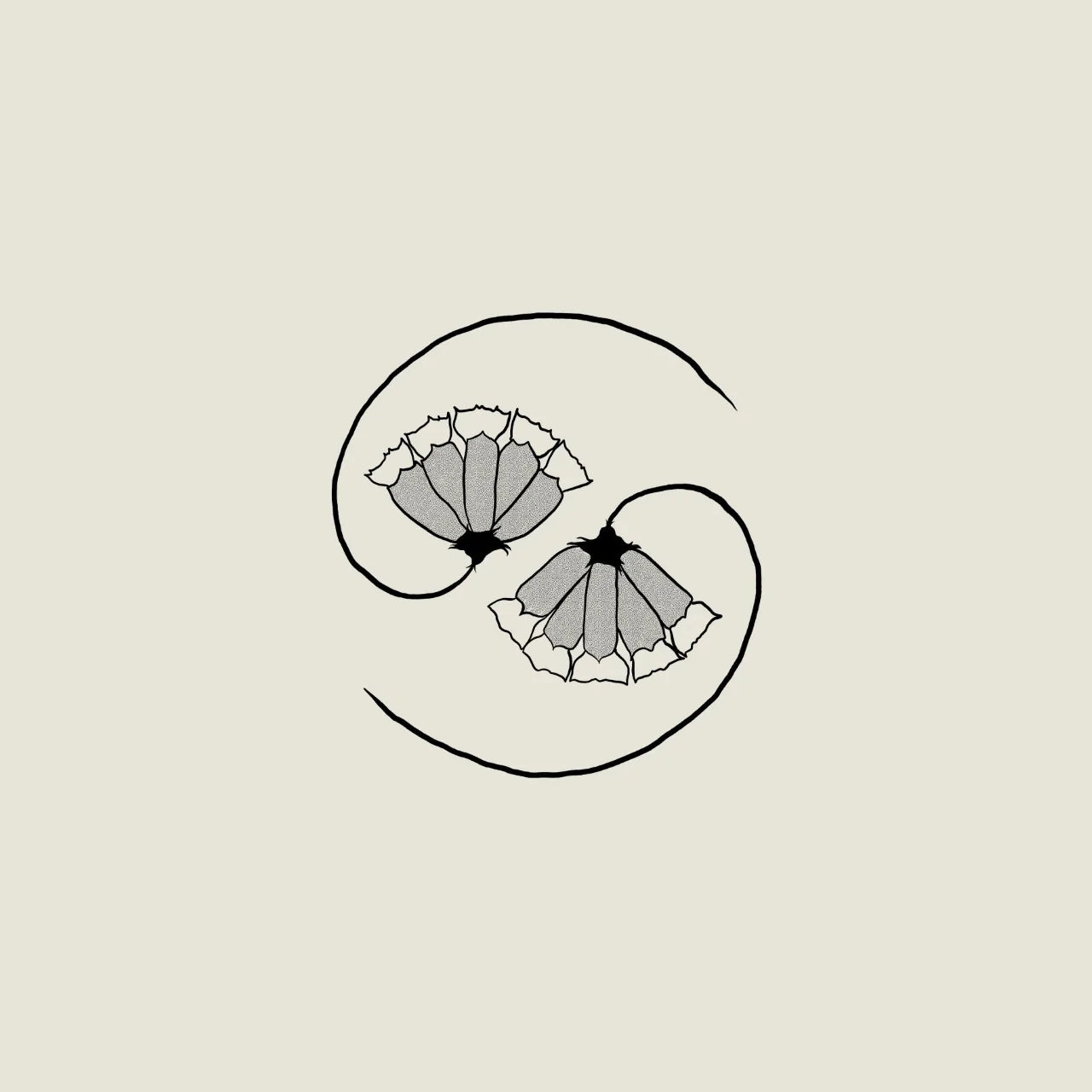 Godspeed You Black Emperor! - G_d's Pee AT STATE'S END (Vinyl)
