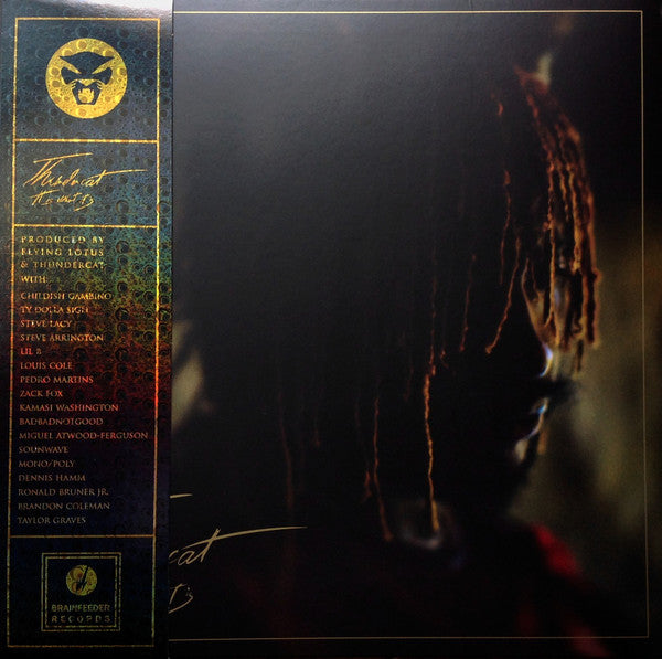 Thundercat – It Is What It Is (Vinyl)