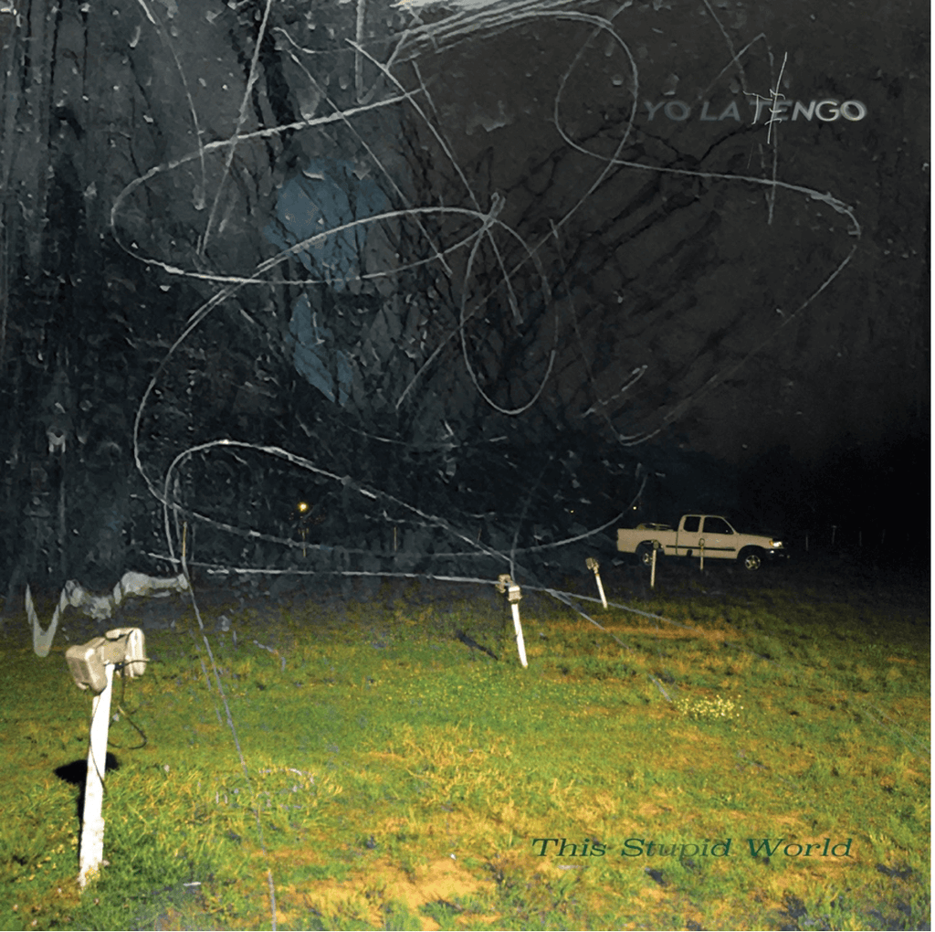 Yo La Tengo - This Stupid World (Vinyl)