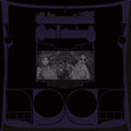 Shabazz Palaces - Exotic Birds of Prey (Vinyl)